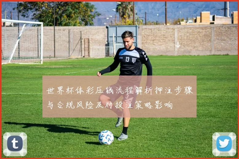 世界杯体彩压钱流程解析押注步骤与合规风险及对投注策略影响