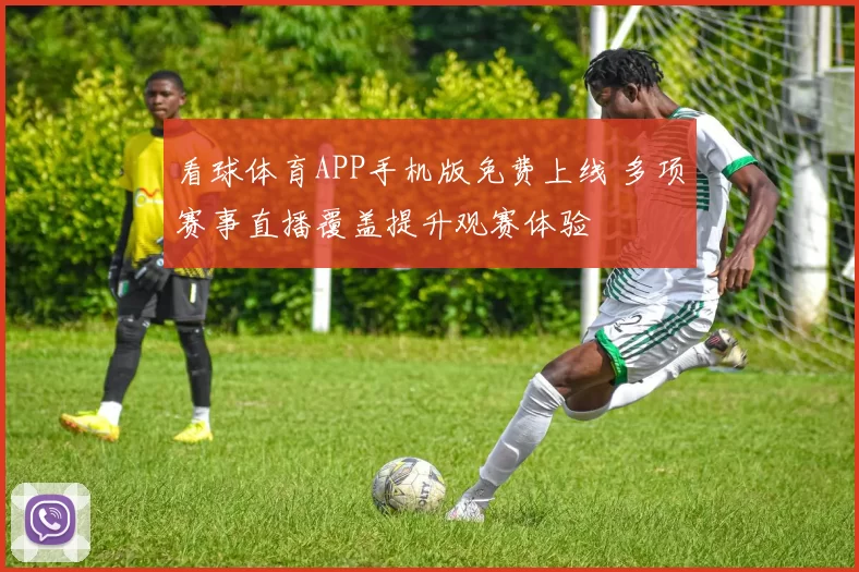 看球体育APP手机版免费上线 多项赛事直播覆盖提升观赛体验