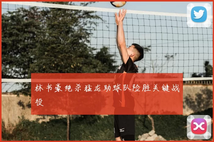 林书豪绝杀猛龙助球队险胜关键战役