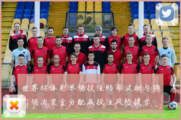 世界杯体彩单场投注赔率波动与热门场次奖金分配及投注风险提示