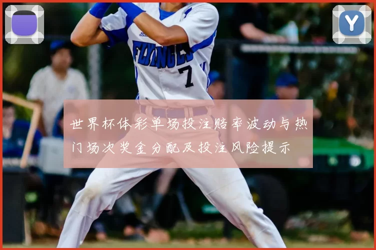 世界杯体彩单场投注赔率波动与热门场次奖金分配及投注风险提示