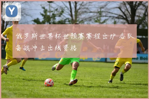 俄罗斯世界杯世预赛赛程出炉 各队备战冲击出线资格