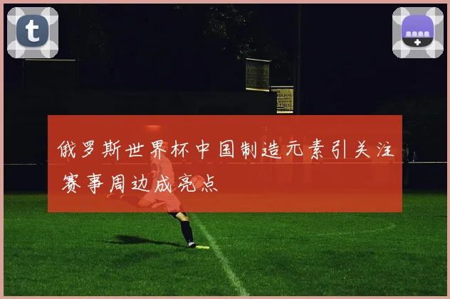 俄罗斯世界杯中国制造元素引关注 赛事周边成亮点