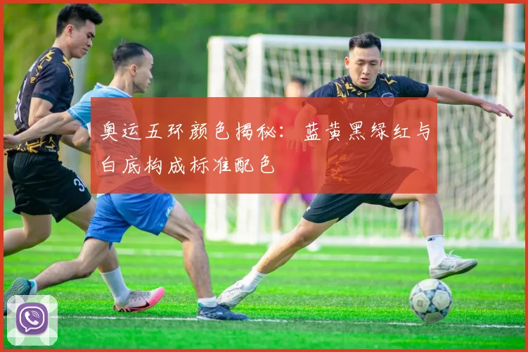 奥运五环颜色揭秘:蓝黄黑绿红与白底构成标准配色